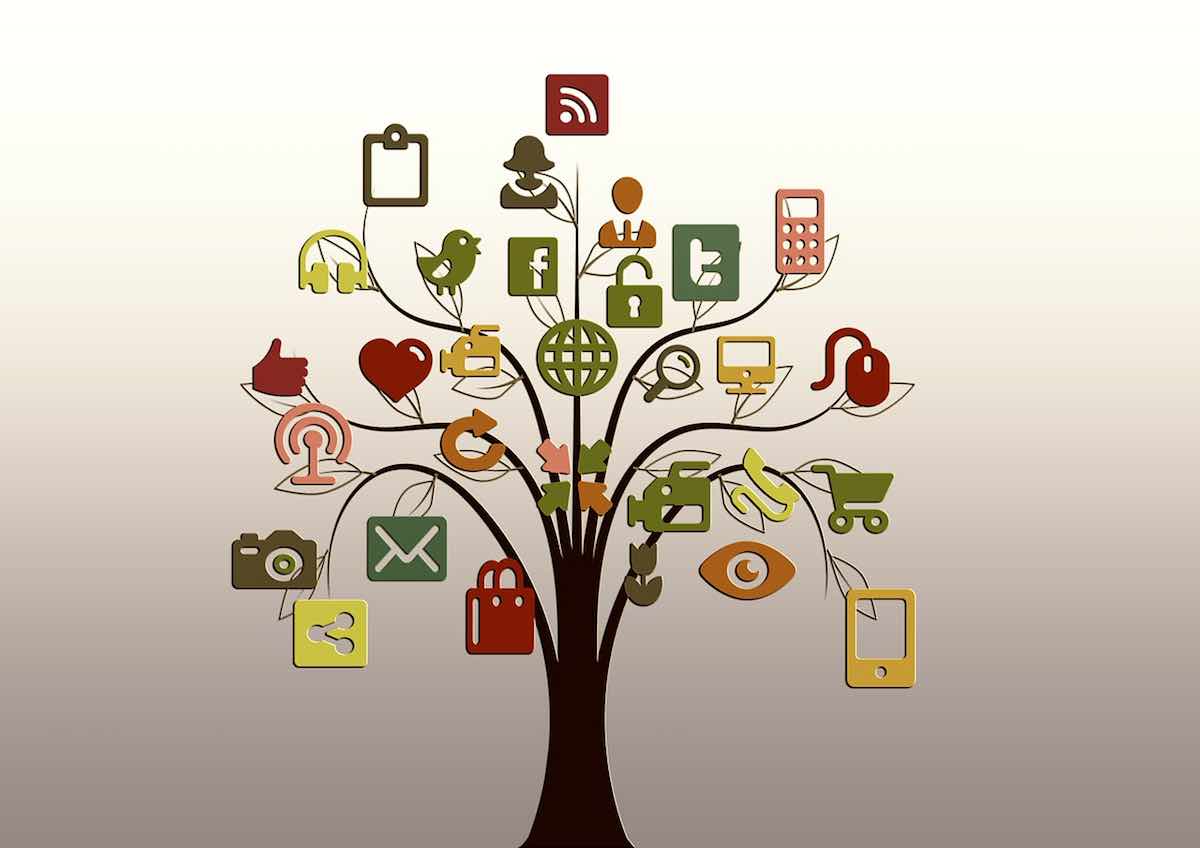 Different types of social media in a tree showing them growing together