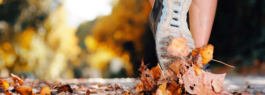 Autumn Activities to Get Your PT Clients Up and Moving!